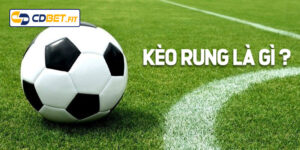 Kèo Rung Là Gì? Bí Quyết Xem Kèo Rung Hiệu Quả Từ Các Cao Thủ