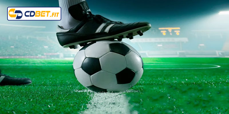 Hướng dẫn cách xem kèo rung