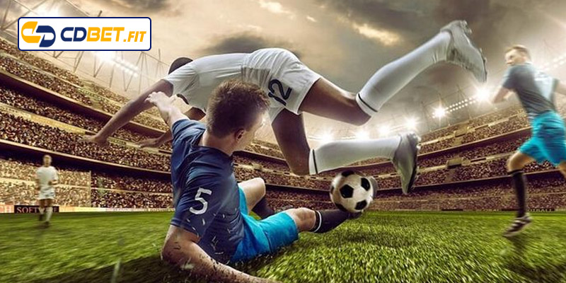 Chia sẻ kinh nghiệm chơi kèo rung hiệu quả