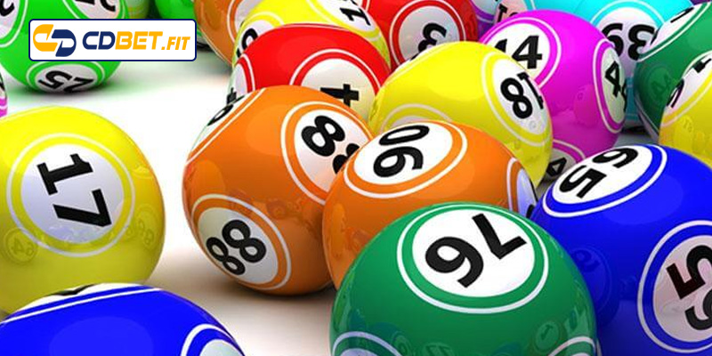 Ưu và nhược điểm khi nuôi dàn đề 2 ngày