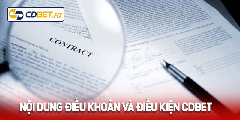 Nội dung về điều khoản và điều kiện Cdbet