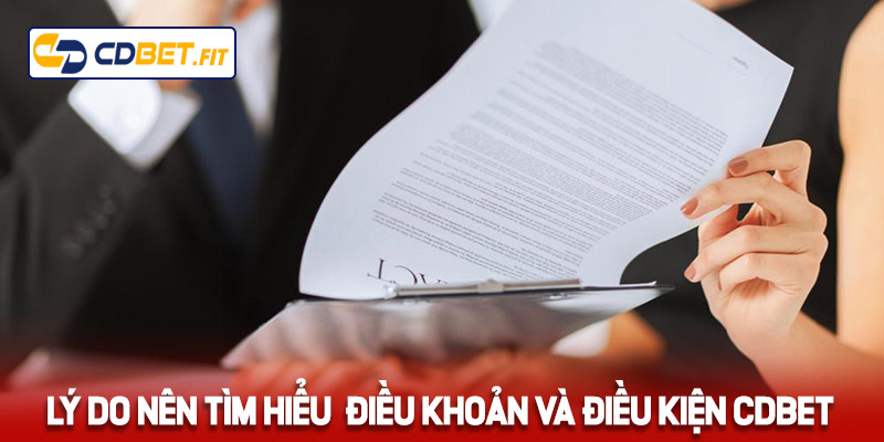 Lý do nên tìm hiểu điều khoản điều kiện Cdbet